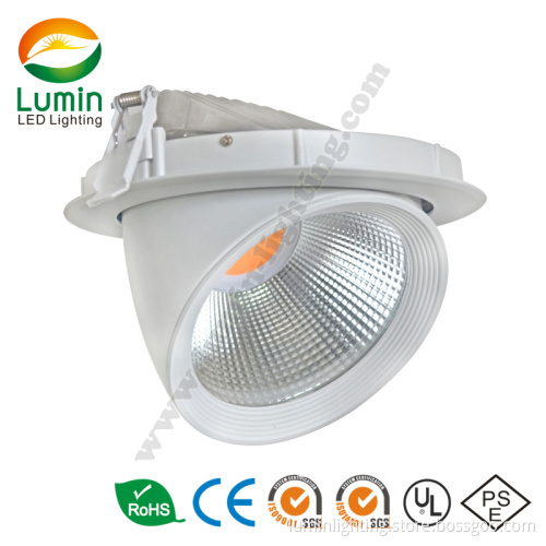 Cloth Store Rotatable 48W Sharp COB LED Downlight (LM-D1260-45)